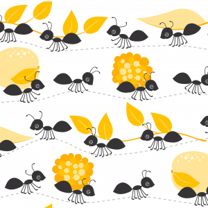 zomer mieren
