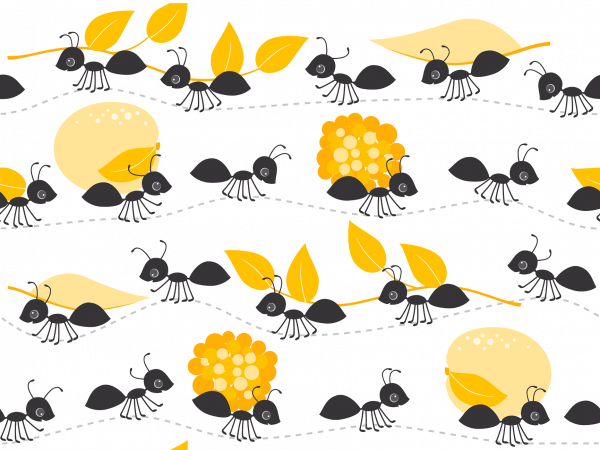 zomer mieren